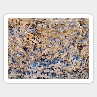 Coral Rock Texture Sticker